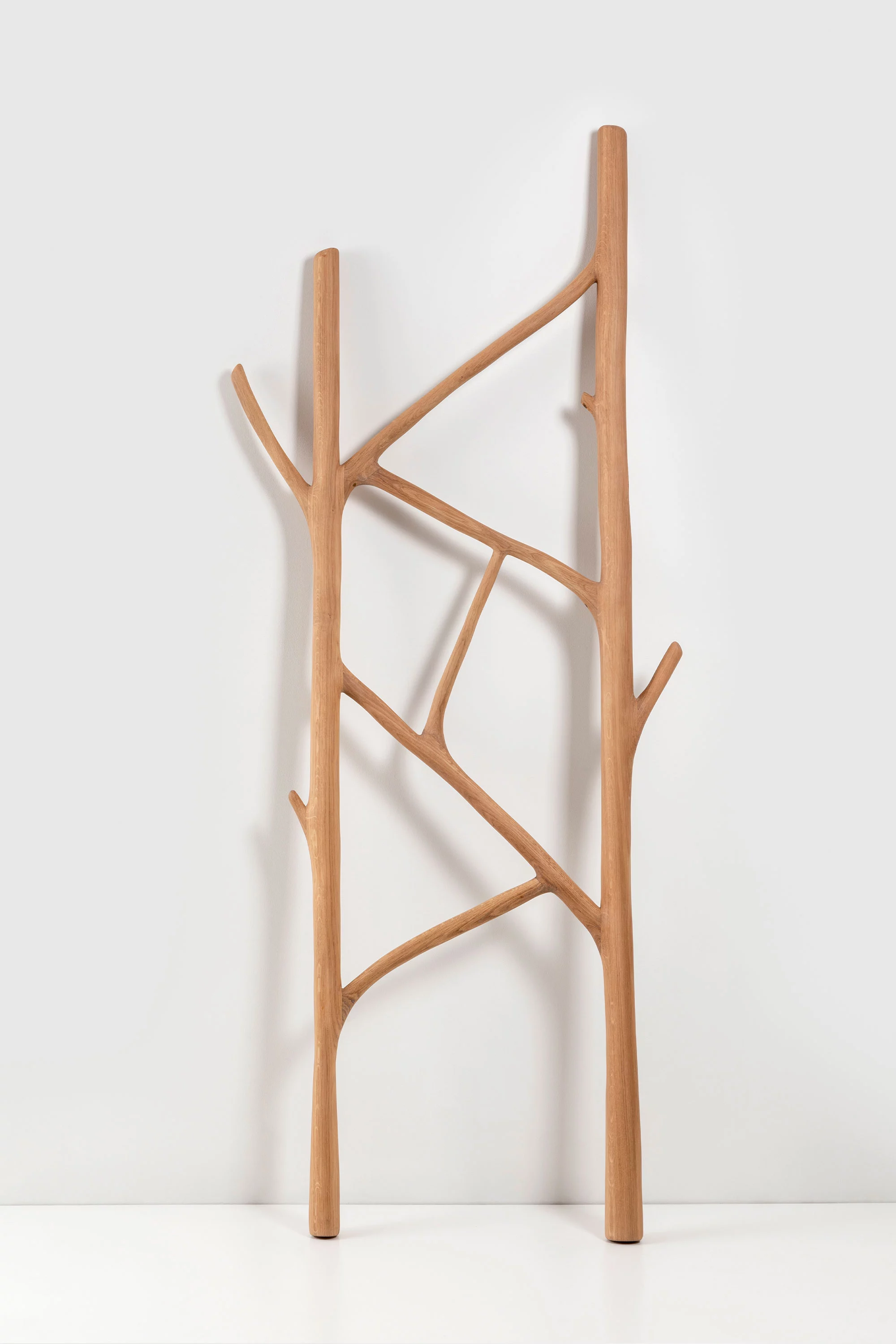 Tree Ladder - Front - Miscellaneous - Galerie kreo