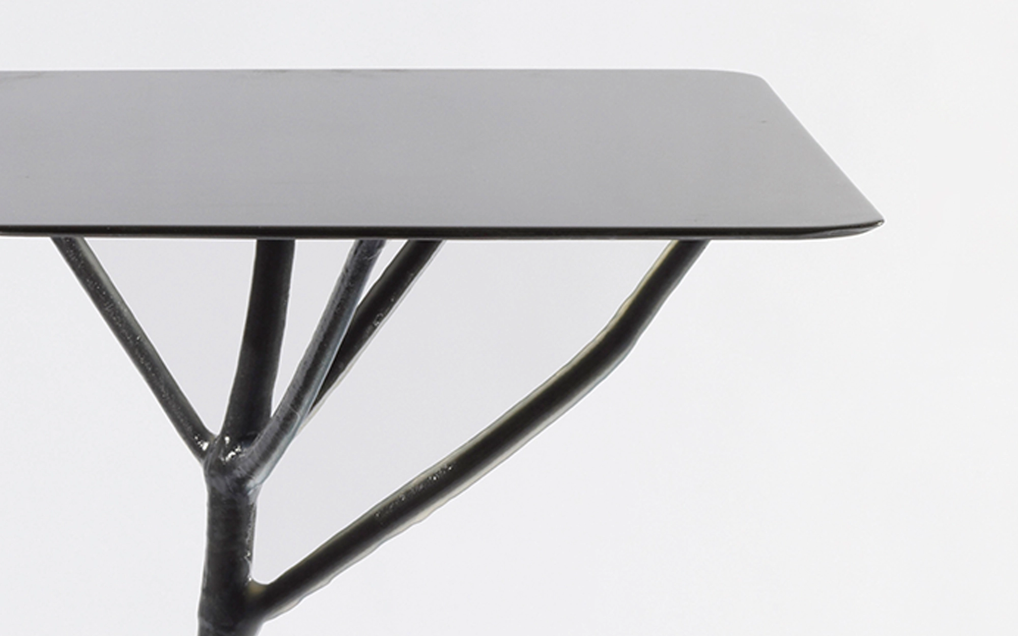 Frozen Hogweed Square Table - Studio Wieki Somers - Console - Galerie kreo