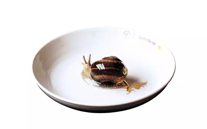 Plate with snail - Hella Jongerius - Mirror - Galerie kreo