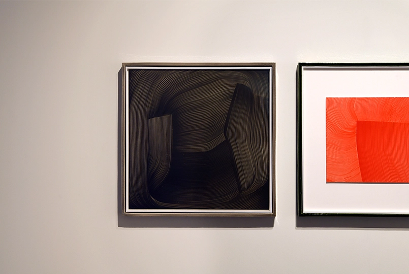 Ronan and Erwan Bouroullec  - Ronan & Erwan Bouroullec