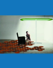 Ronan and Erwan Bouroullec  - Ronan & Erwan Bouroullec