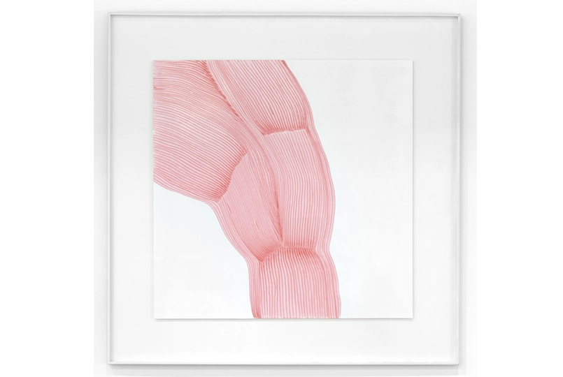   - fiac! 2018