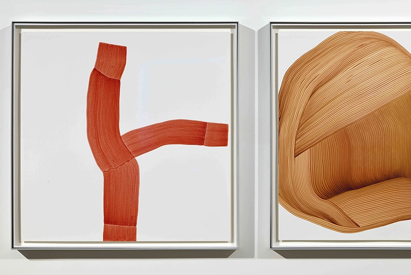 Ronan and Erwan Bouroullec  - Ronan & Erwan Bouroullec