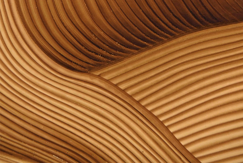 Ronan and Erwan Bouroullec  - Ronan & Erwan Bouroullec