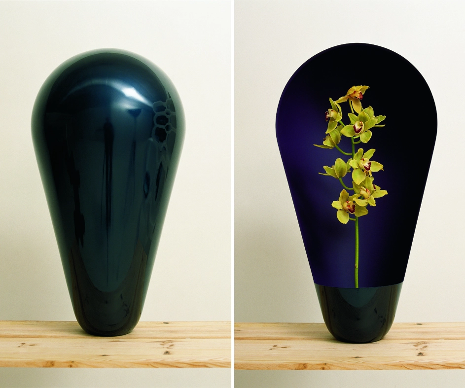 Ronan and Erwan Bouroullec  - Ronan & Erwan Bouroullec